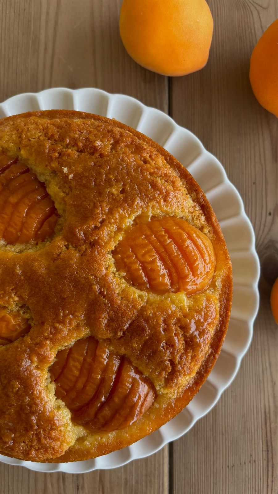 Gâteau à l'abricot
